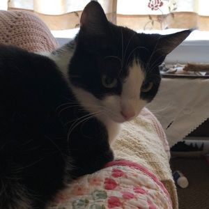 Meet your Posher, Penelope rose